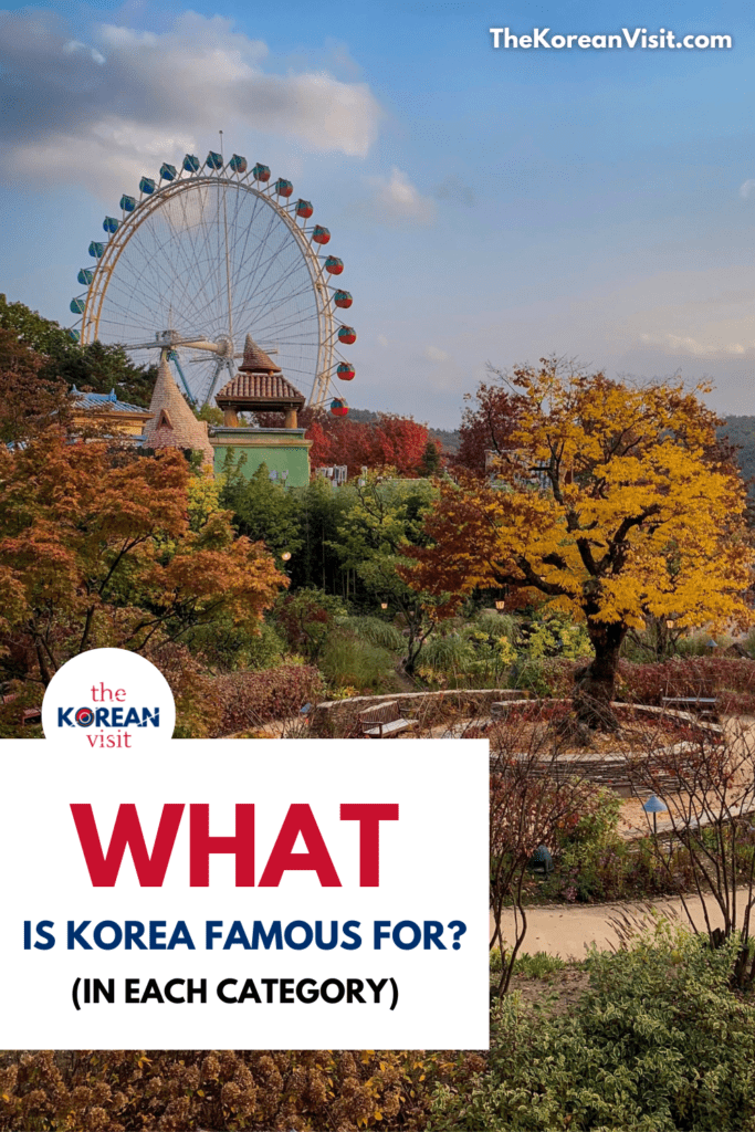 MAIN PIN - What Is Korea Famous For (In Each Category - The Korean Visit